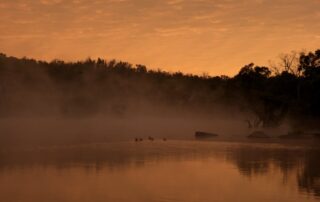 Stanthorpe caravan park accommodation