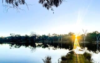 Best Time to Visit Stanthorpe