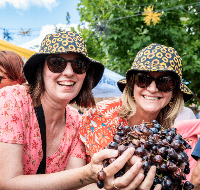 Apple & Grape Harvest Festival