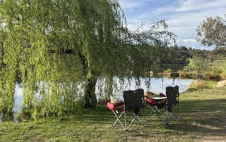 Best camping sites with cabins in Stanthorpe