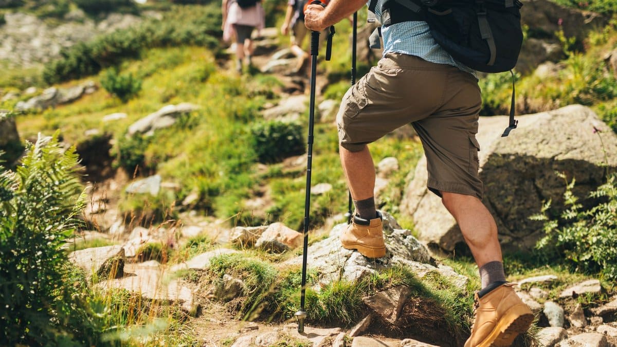 Best Hikes Near Stanthorpe for Every Fitness Level