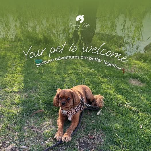 pets are welcome