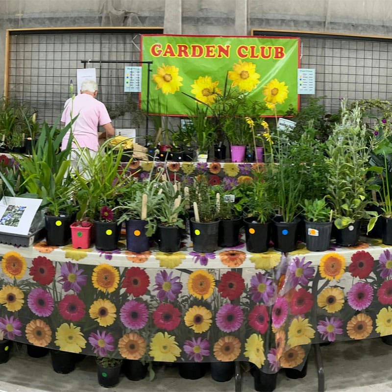 Stanthorpe Gardenfest