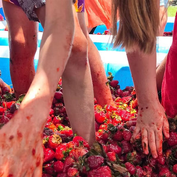 Stanthorpe Berry Festival